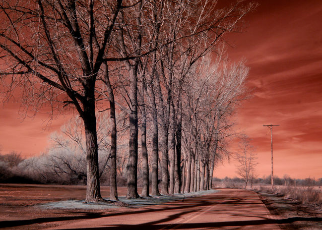 Road Near Monument.jpg