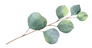 Clipart-Email-1884844 (1).png