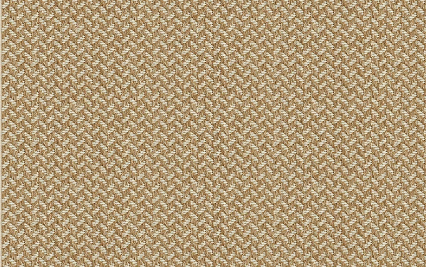A close up of the Couristan carpet Aberdeen in color Beach.