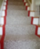 animal print carpet on stairs