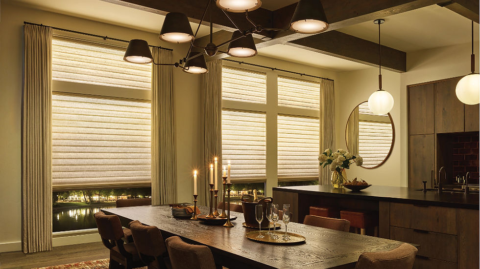 Hunter Douglas Aura Vignette Motorized Roman Shades in dining room windows.