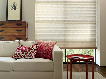 2015_ALU_DU_Leela_Living Room_After1.jpe