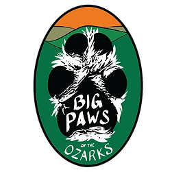 BPOZ Logo (3).png