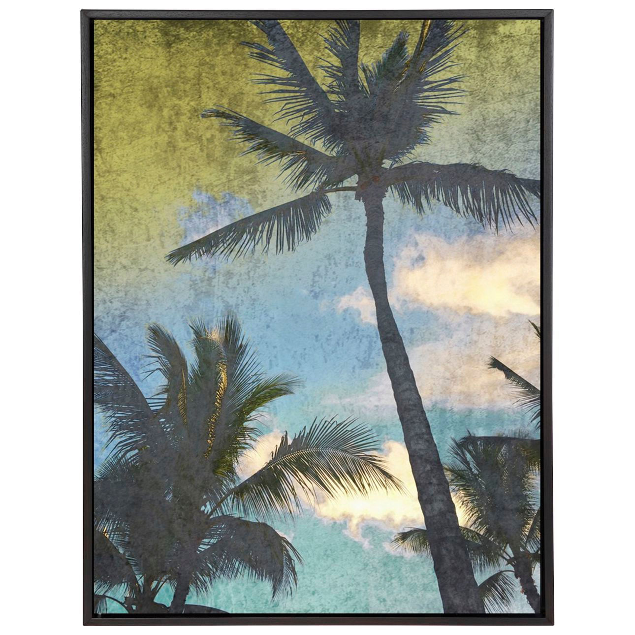 California Palms