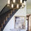 Thumbnail: Lee Blvd. 8 Light Chandelier