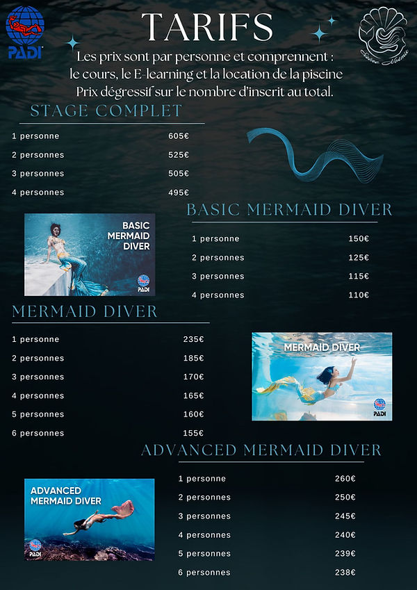 Tarifs Stage A4.jpg