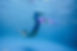 488994395_1499472734598867_2712157717560418826_n.jpg