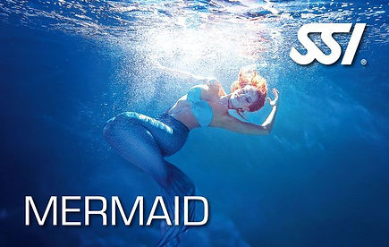 Mermaid SSI
