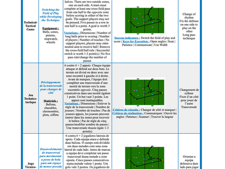 Coach's Traveller Journal - Chapter 3 | Switching the Field of Play