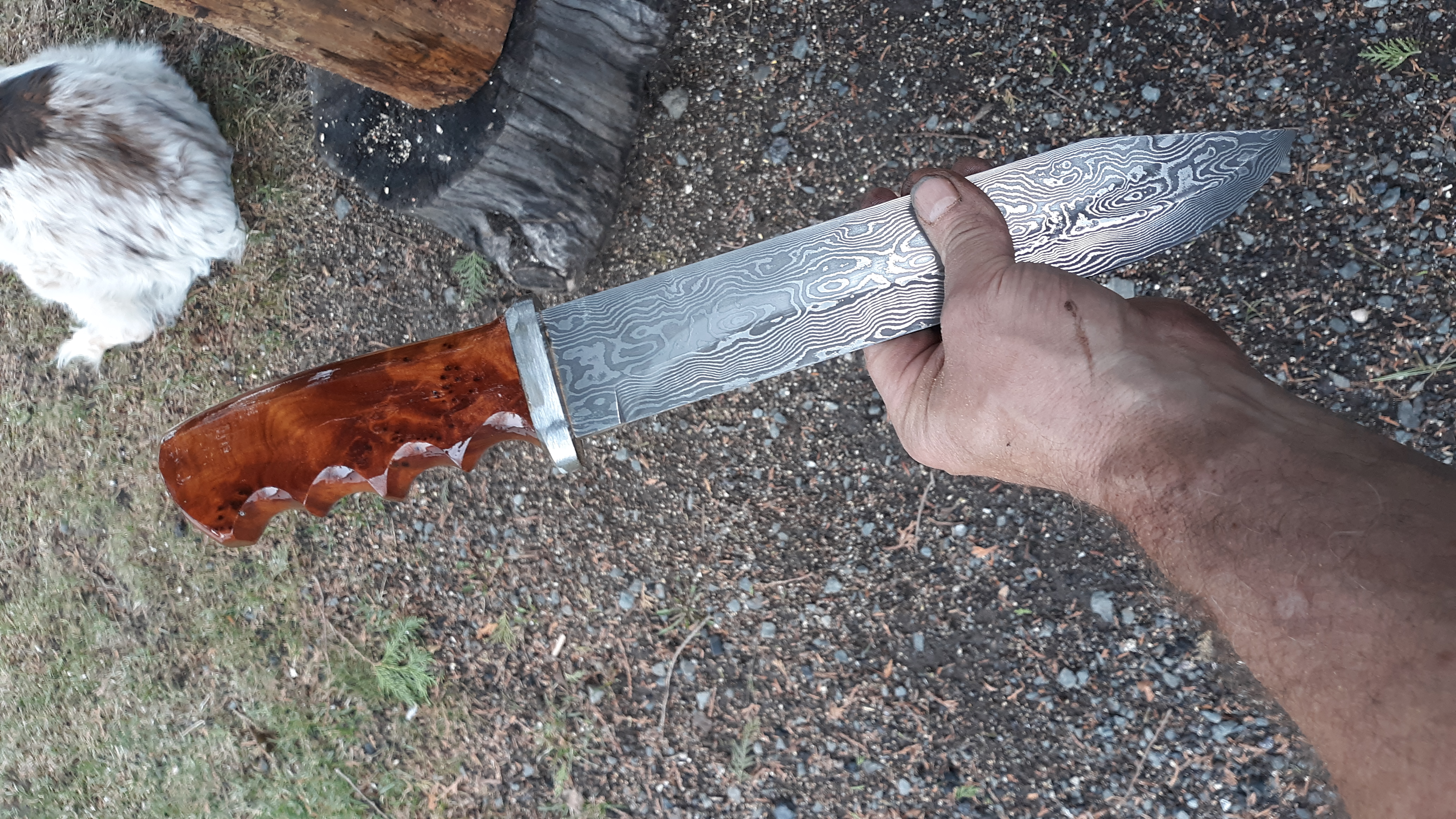 Custom made damascus bowie