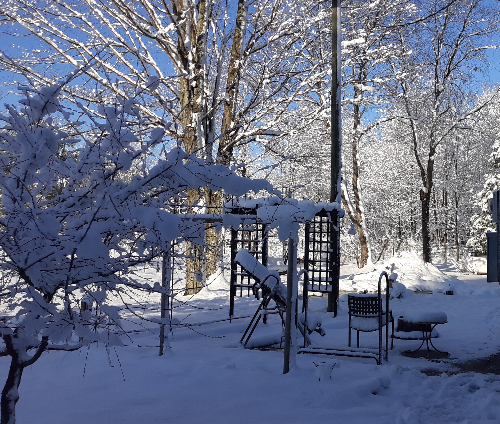 Winter at LLForge