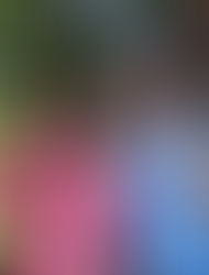 Ashley and Bryana top off an event filled West Michigan weekend with a "Learn to Forge" experience.