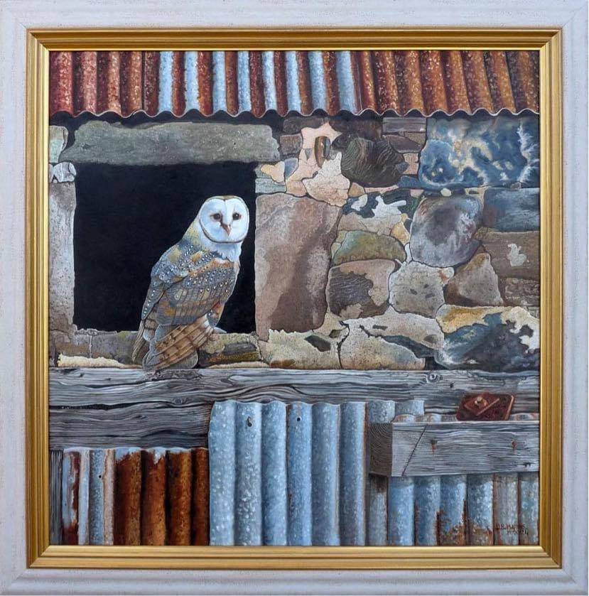Stunning large Oil Painting  “Barn Owl”   By Local Artist David Harris, photo 1 of 6