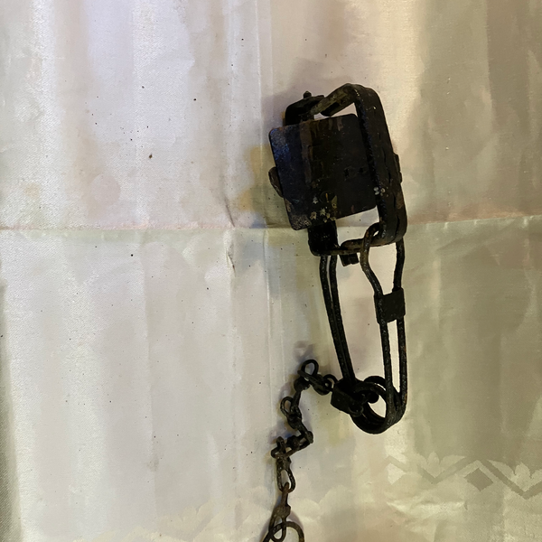 Medium sized animal trap