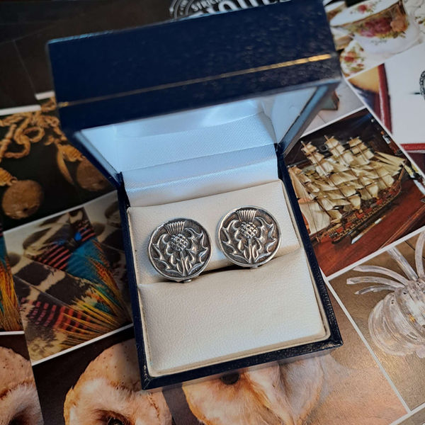 Iona Silver Clip On Earrings