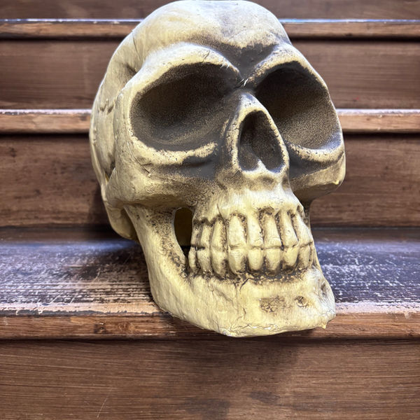 Halloween Oversized Polystyrene Skull