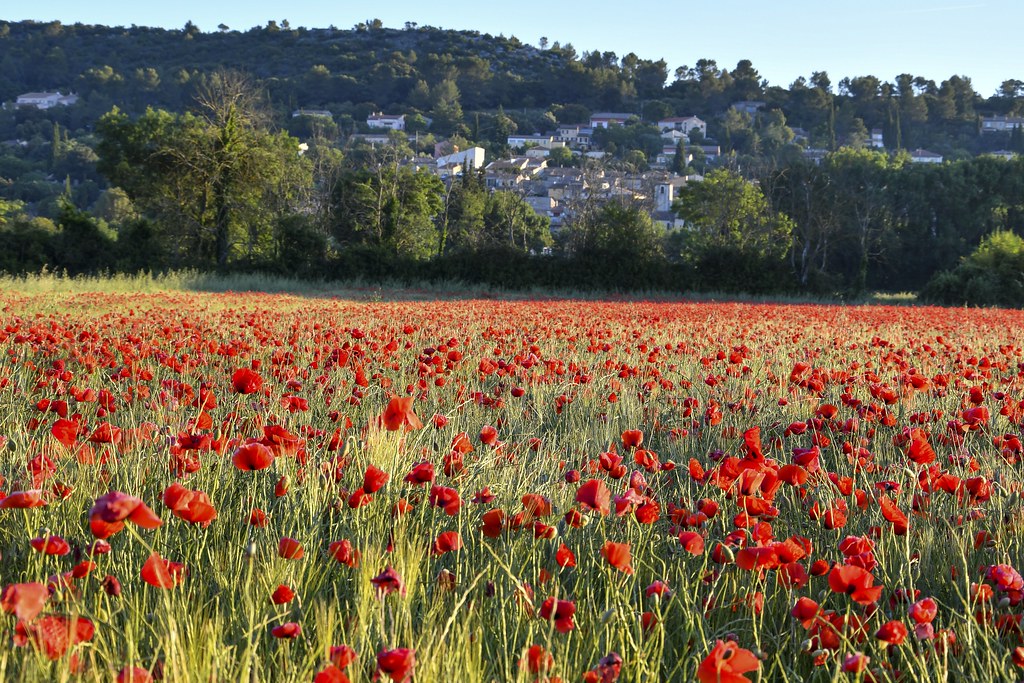 Camps-la-Source