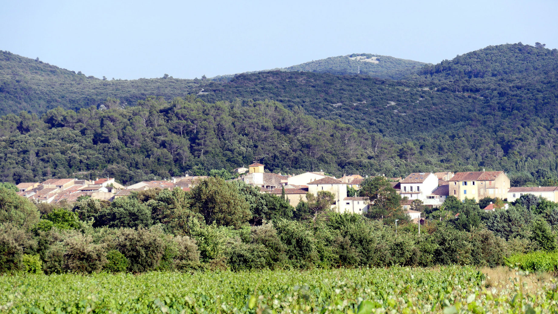 Néoules