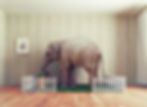 Eléphant et lit bébé