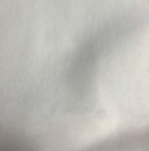Heavy 2x1 Cotton Rib 24 oz