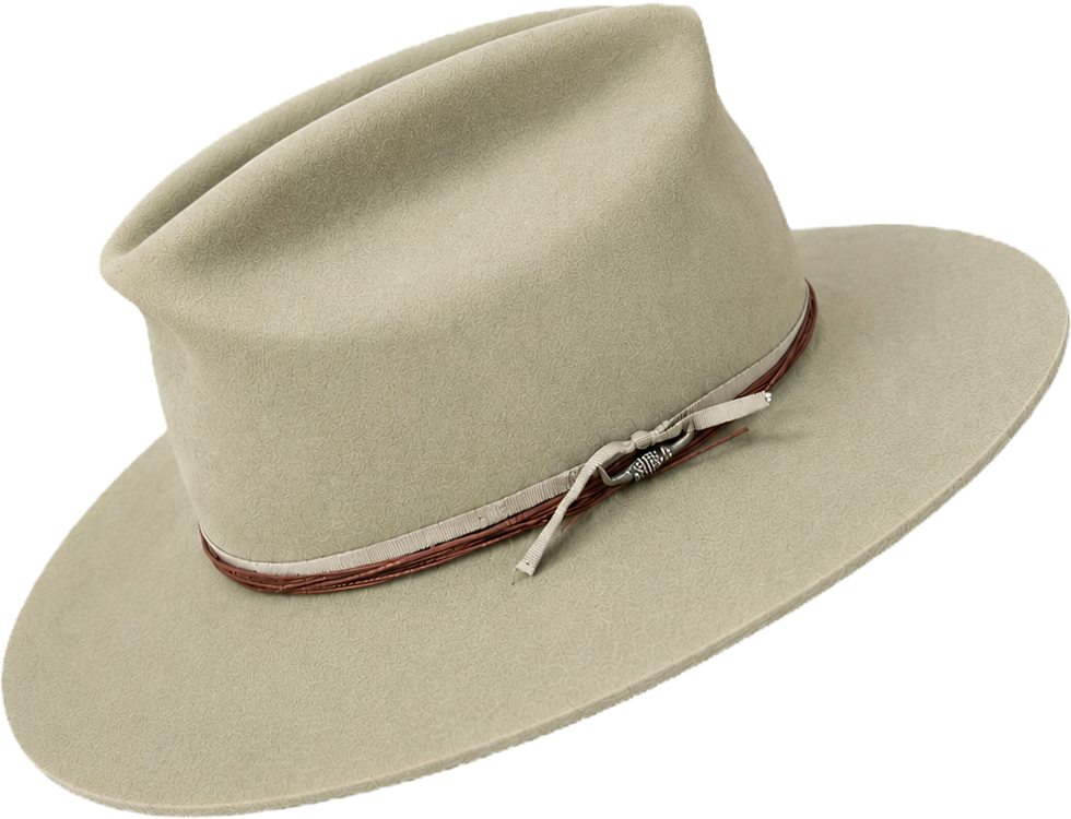 LAAS_HAT16.png