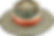 LAAS_HAT16.png