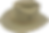 LAAS 3_edited.png