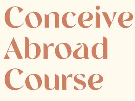 Thinking About Fertility Treatment Abroad? Start Here 👇🏻