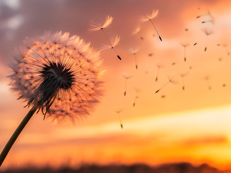 Moving Forward With Clarity: A New Perspective on Your Fertility Journey for the Year Ahead