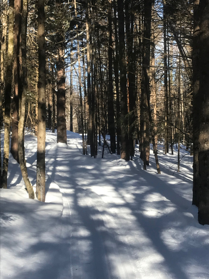 Get up groom/ski great conditions, run shop, sleep, repeat