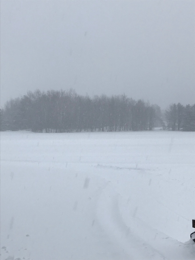 Powda' Day