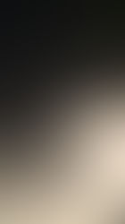 3" Fresh On The Trails Today