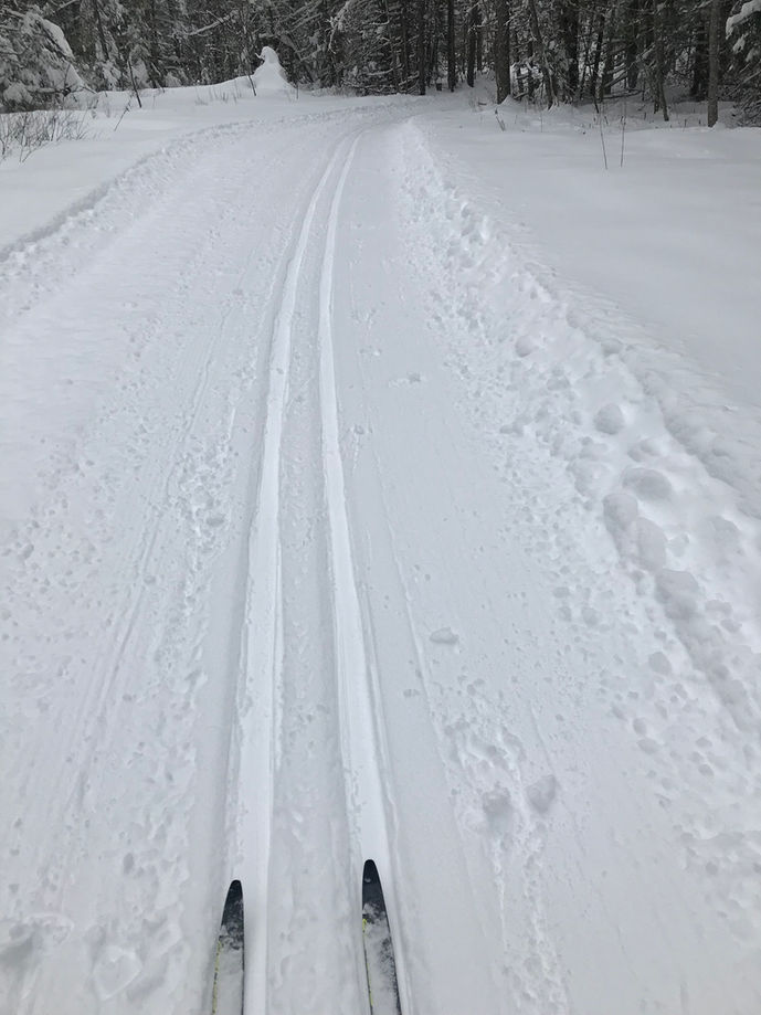 3 FEET OF SNOW SINCE THE 7TH AND STILL SNOWING