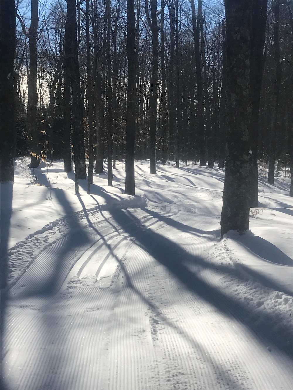 Folsom Brook Trail looking awesome!