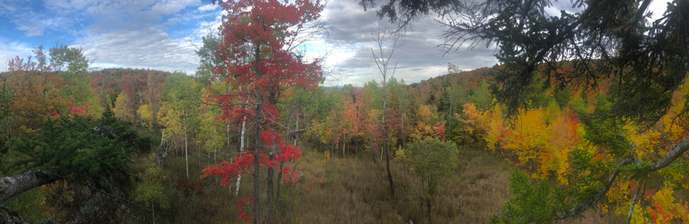 HAPPY FALL TIME, SNOW IS JUST AROUND THE CORNER OCT 15TH DEADLINE ON PRE SEASON PASS RATES