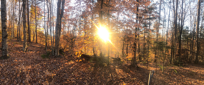 Beautiful Weather Lately, Winter is around the corner.