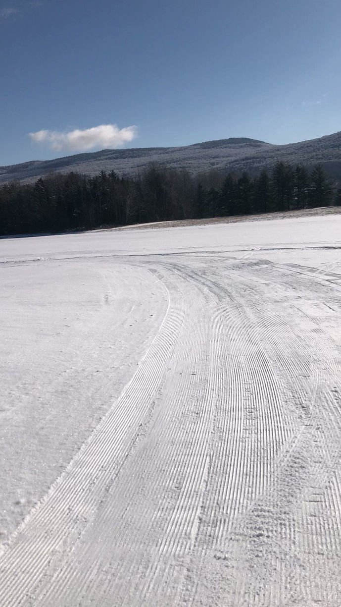 COATING OF SNOW, SUN IS SHINING