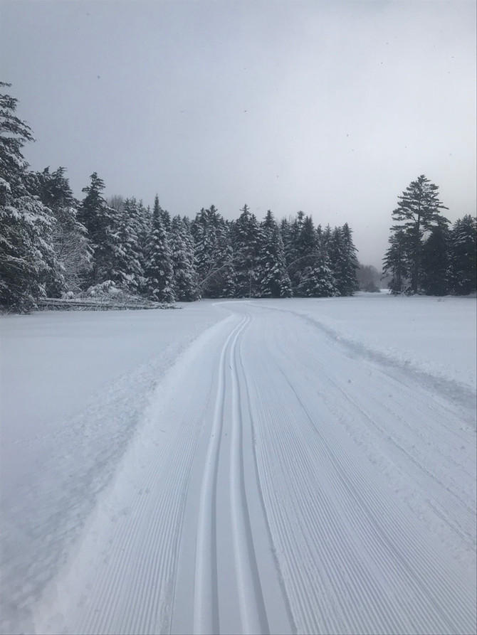 Another 3"-4" of fresh and a lot more trails open