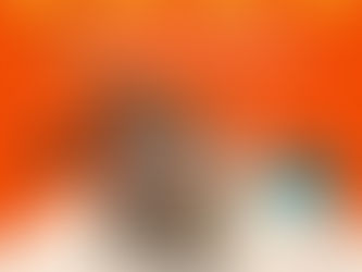 Macarani se mobiliza por Lei de Proteção e Bem-Estar Animal.