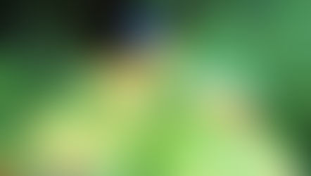 Beerenvergiftung auf der Katrin