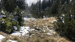 Erneuter Einsatz mit großem Glück im Unglück auf der Katrin