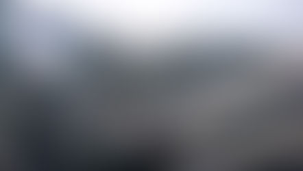 Wanderin aus steilem Waldgelände  gerettet.