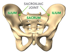 Could Your Low Back Pain be SI Joint Related?