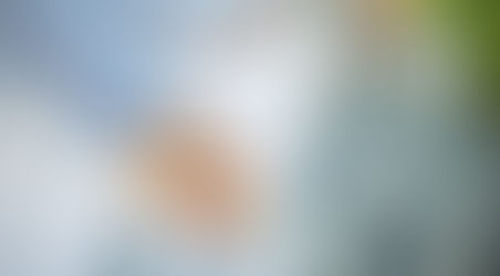 The Caregiver’s Guide to Falls Prevention: A Comprehensive Action Plan for Schuylkill County Families