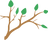 branche qui pousse logo - La découverte