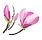 fleurs entrouvertes logo - La Découverte renforcée