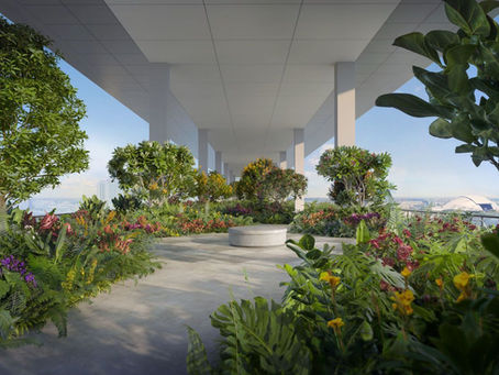 Why Aurea Is Perfect for Young Professionals and Urban Creatives