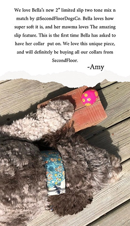 page0.jpg