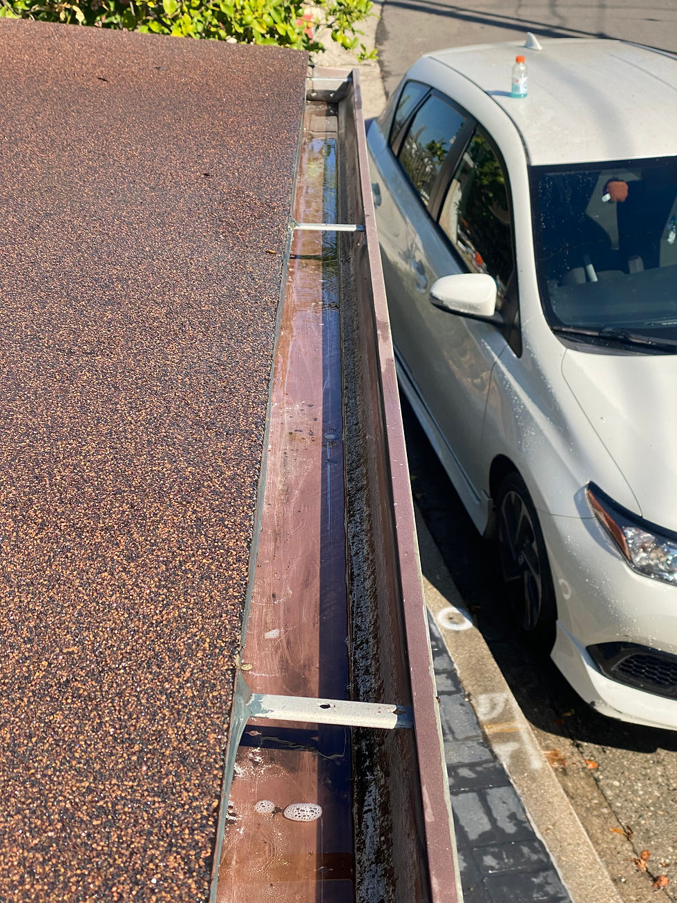 Professional gutter cleaning in West Hollywood by Window Cleaning Budds, trusted gutter cleaners near me in West Hollywood and leading provider of gutter cleaning services near me in Los Angeles.