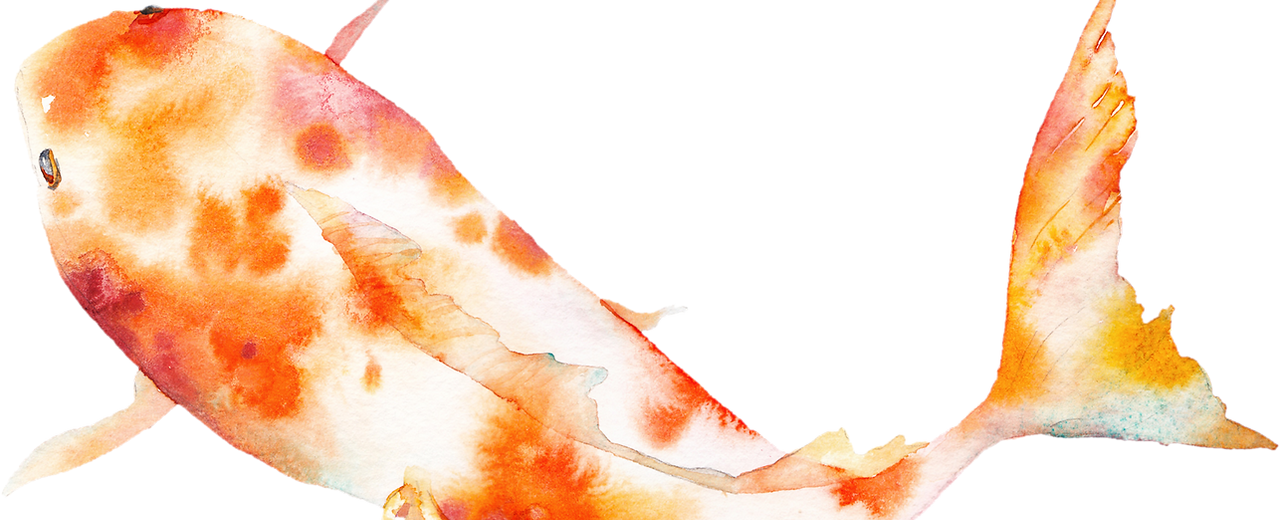 Gold Fish_edited.png